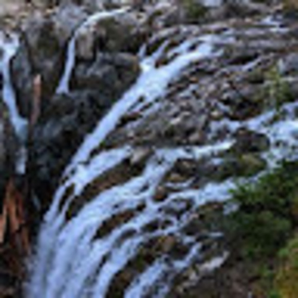 Meet your Posher, Mattea - Picture 1 of 1